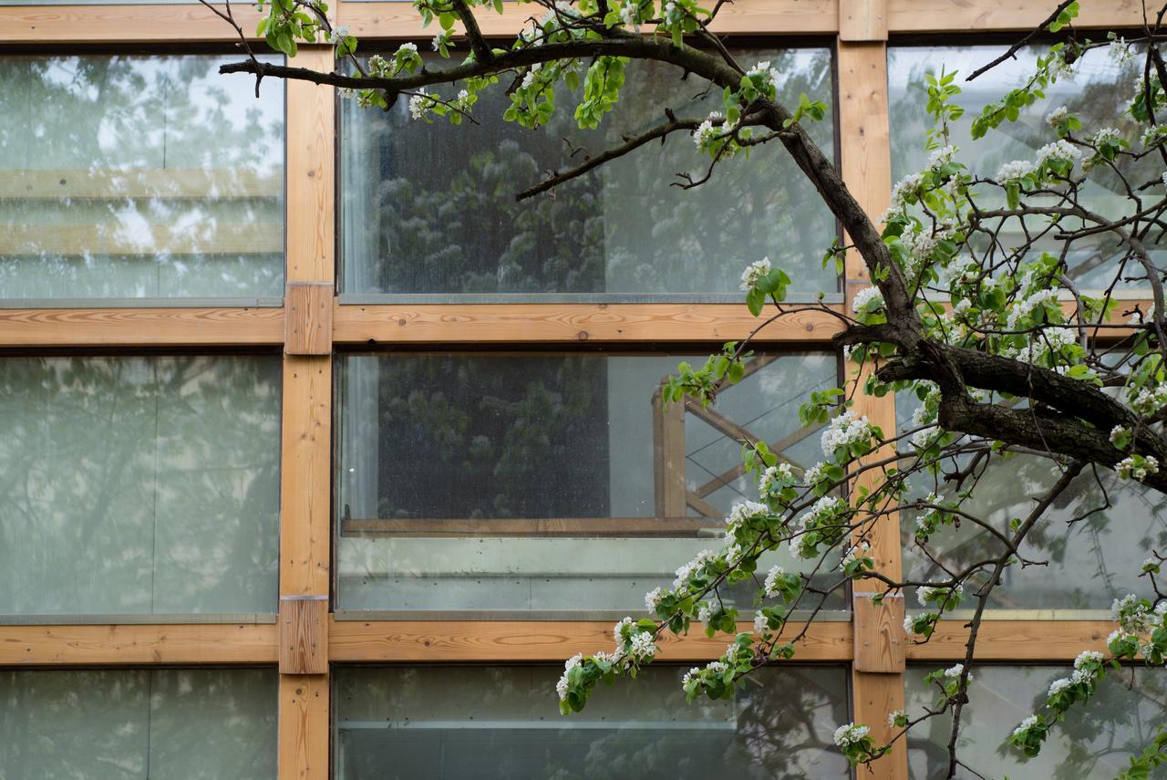 Residence Meljska มาริบอร์ ภายนอก รูปภาพ